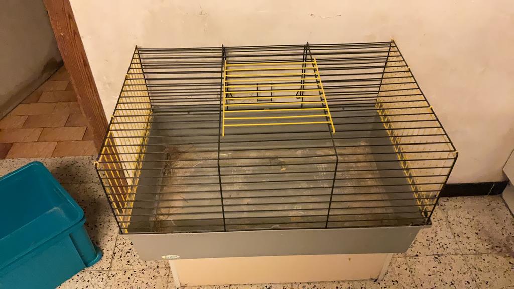 Knaagdierkooi, Dieren en Toebehoren, Ophalen, Zo goed als nieuw, Kooi