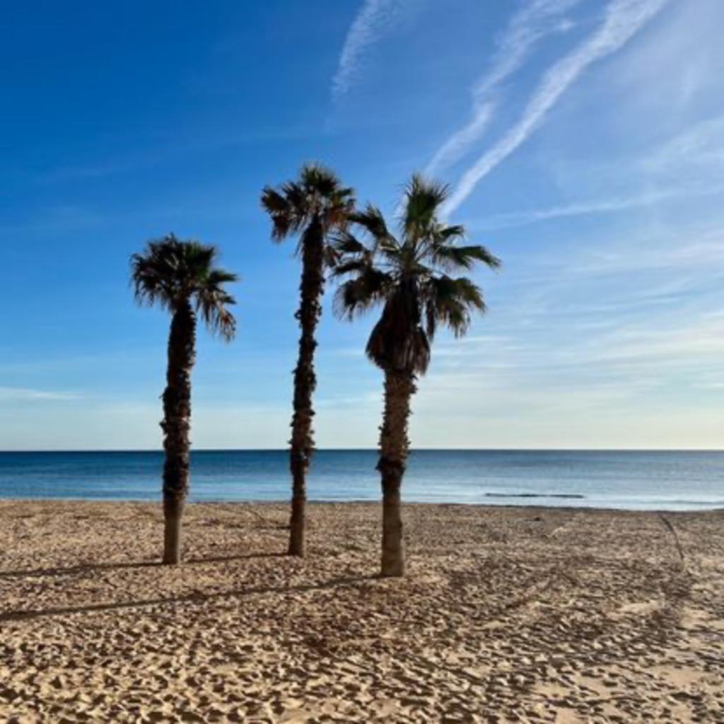 maison 3ch a vendre en espagne, Immo, Buitenland, Spanje, Dorp