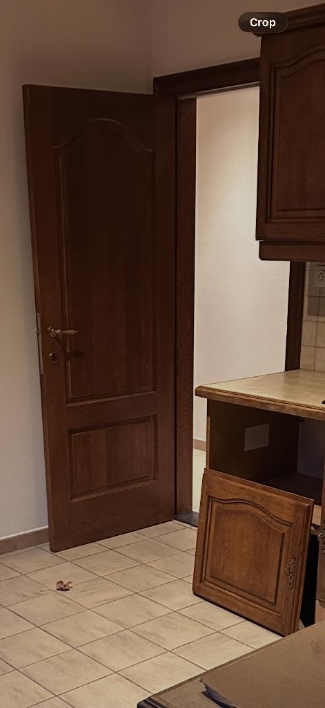 Gratis binnendeuren, Doe-het-zelf en Bouw, Deuren en Vliegenramen, Gebruikt, Binnendeur, Hout, Ophalen