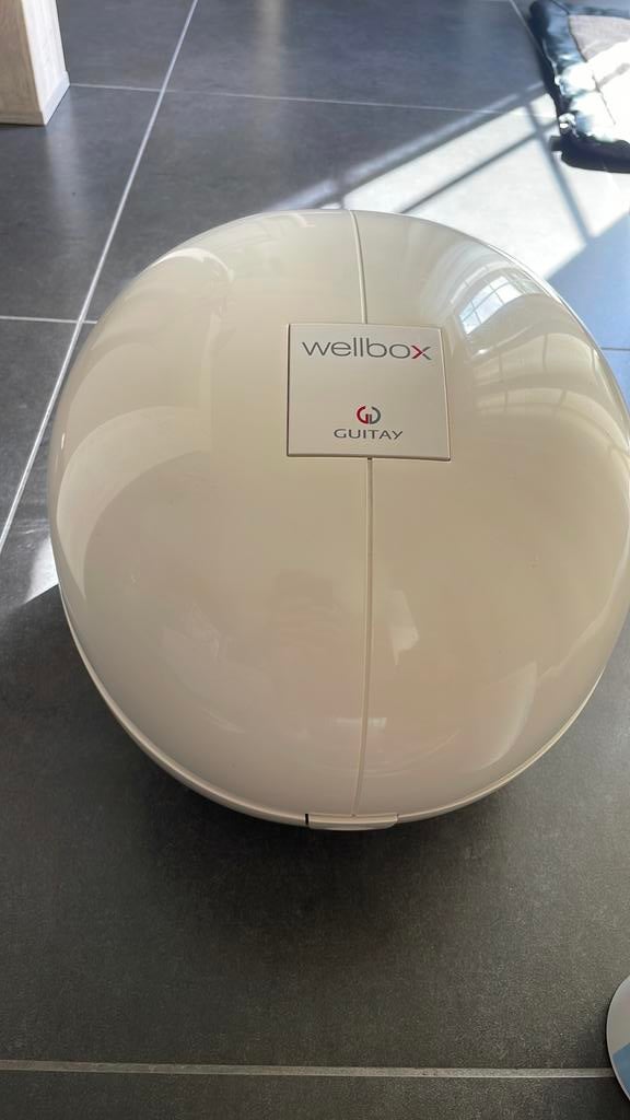 Wellbox Guitay, Ophalen, Zo goed als nieuw, Overige typen