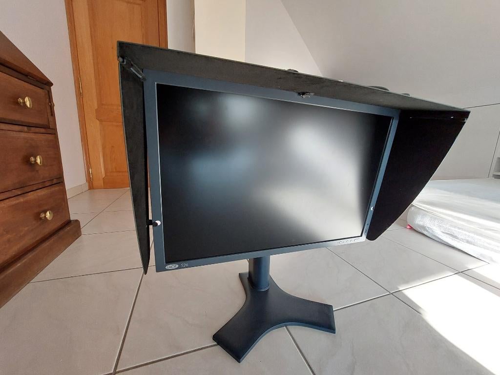 Écran d'ordinateur professionnel LaCie 526, Informatique & Logiciels, Moniteurs, Utilisé, Autres types, Autres résolutions, Inconnu