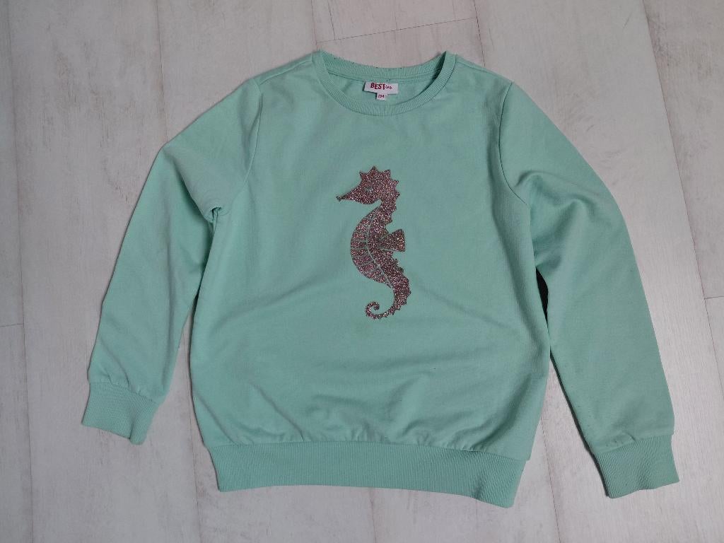 2 sweats fille taille 9-10 ans, Enfants & Bébés, Enlèvement ou Envoi, Pull ou Veste, JBC, Utilisé