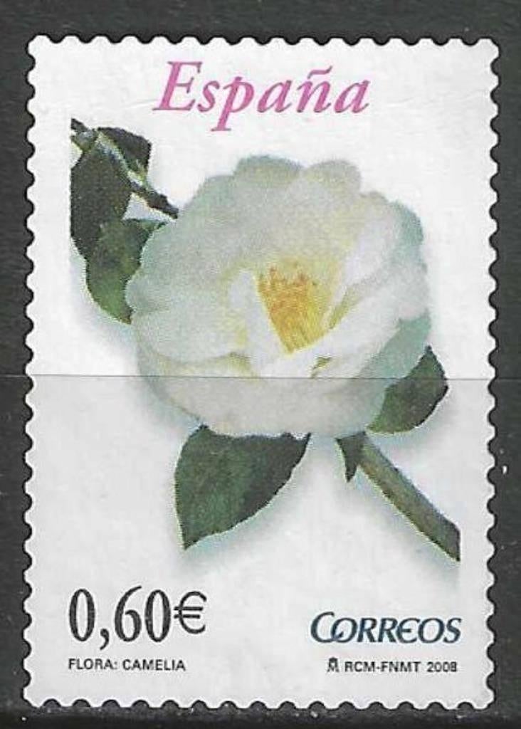 Spanje 2008 - Yvert 3989 - Camelia (ZG), Verzenden, Postfris