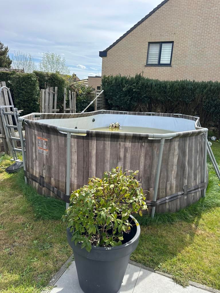 Zwembad, Tuin en Terras, Ophalen, Zo goed als nieuw, Ovaal