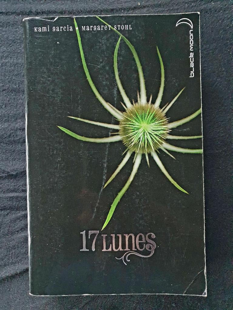 17 maanen/Kami Garcia en Margaret Stohl, Ophalen of Verzenden