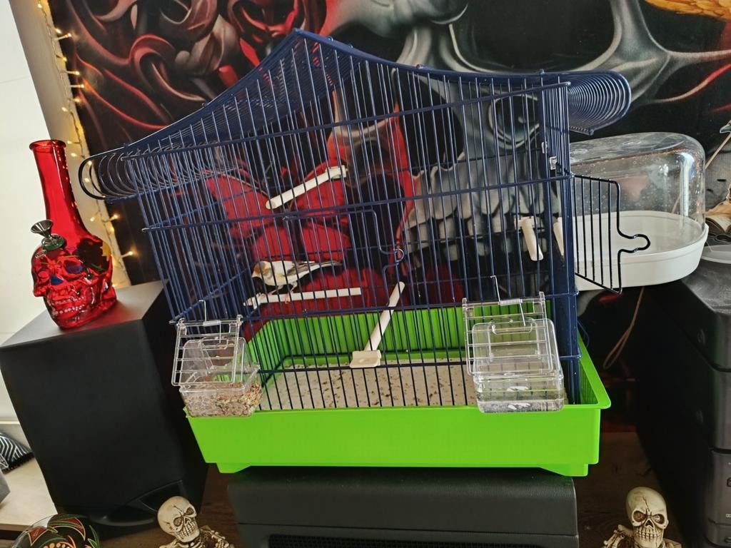 Jonge kanarie mannetje met kooi, Tickets en Kaartjes