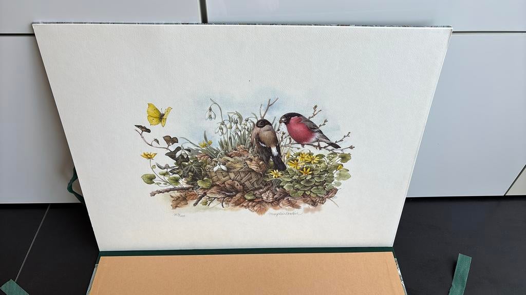 Marjolein Bastin set de 4 lithographies numéro 353/1000, Enlèvement