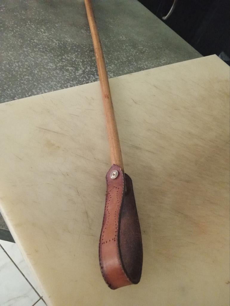 Oude zilveren zweep, Antiek en Kunst