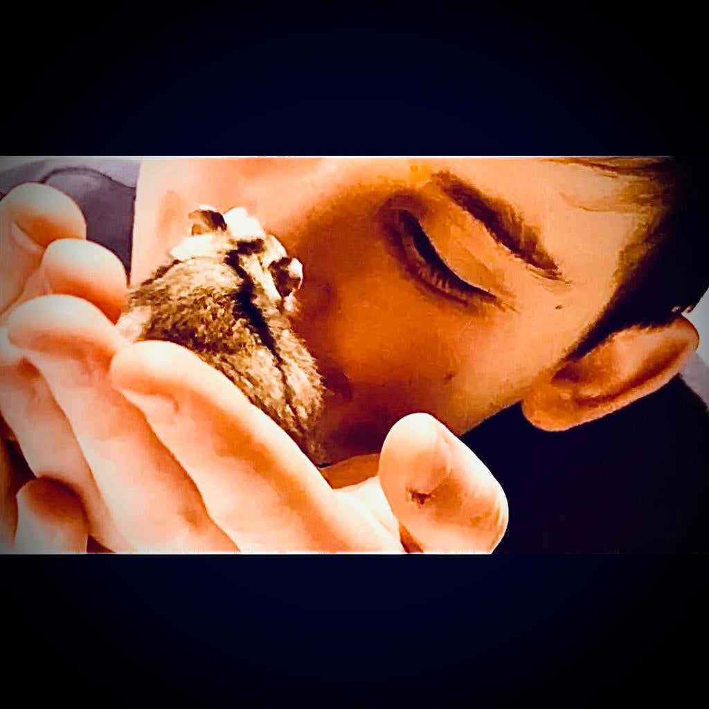 Prachtige allerschattigste troetelhamstertjes (4-8 weken), Dieren en Toebehoren, Knaagdieren, Hamster, December, Meerdere dieren