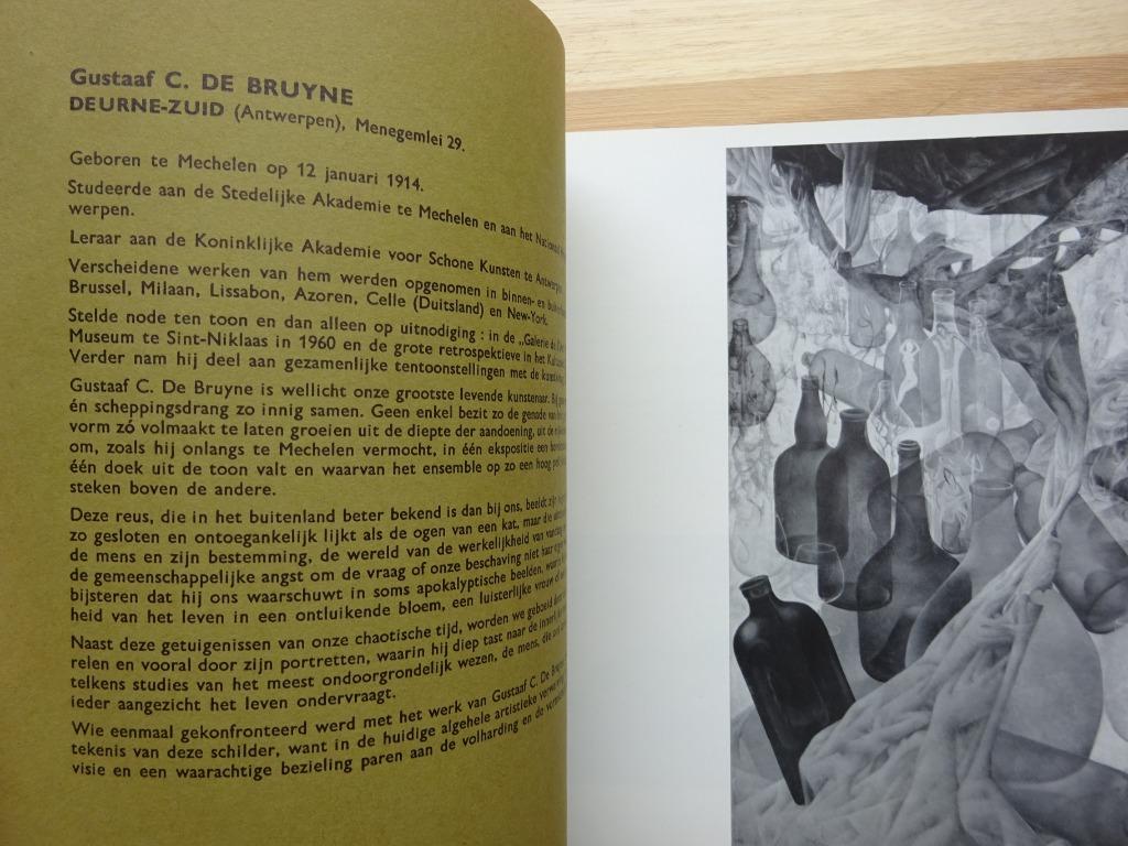 Vlaamse Kunstenaars Nu  - Merelbeke 1967 -, Ophalen of Verzenden, Gelezen, Schilder- en Tekenkunst