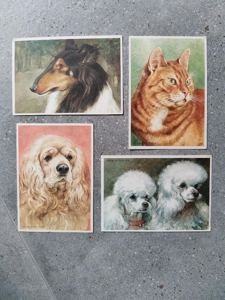 4 nieuwe postkaarten met tekeningen van honden en poes, Ophalen of Verzenden, 1980 tot heden, Ongelopen, Hond of Kat