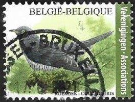 1 Postzegel Koekoek België 2021 Vogels., Enlèvement ou Envoi, Affranchi, Timbre-poste, Autre