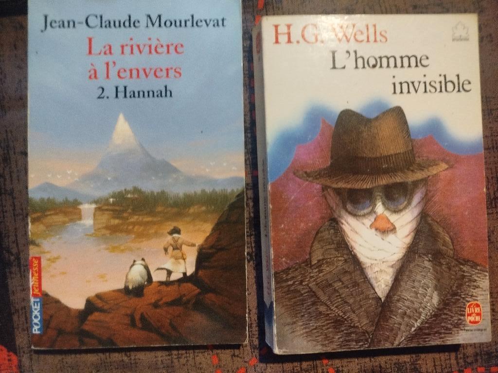 Livre scolaire, Ophalen of Verzenden, Zo goed als nieuw, Fries