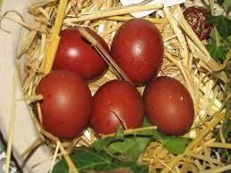 zuivere marans koperhals , donker bruine eitjes 4+1gratis, Dieren en Toebehoren, Vrouwelijk, Kip