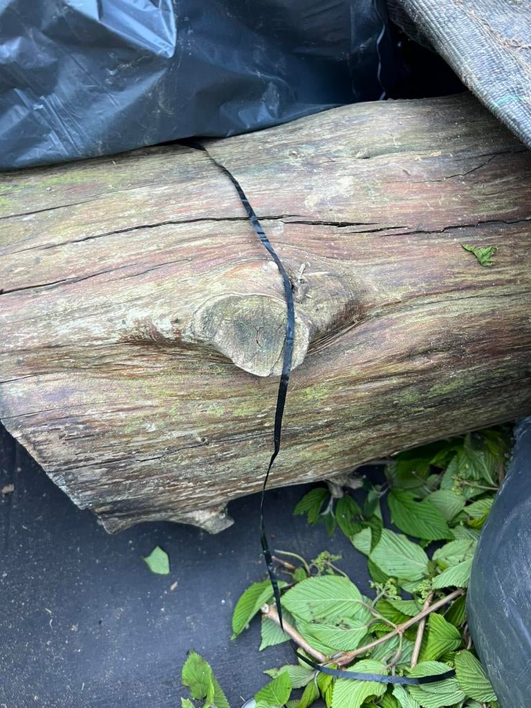 Bois à donner, Enlèvement, Branches