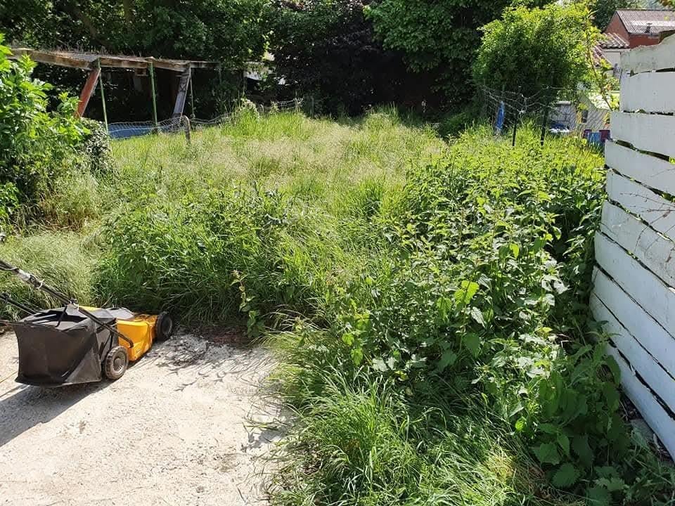 Petit travaux de démolition à faire, si vous voulez économis, Vacatures, Vacatures | Landbouw, Natuur en Milieu
