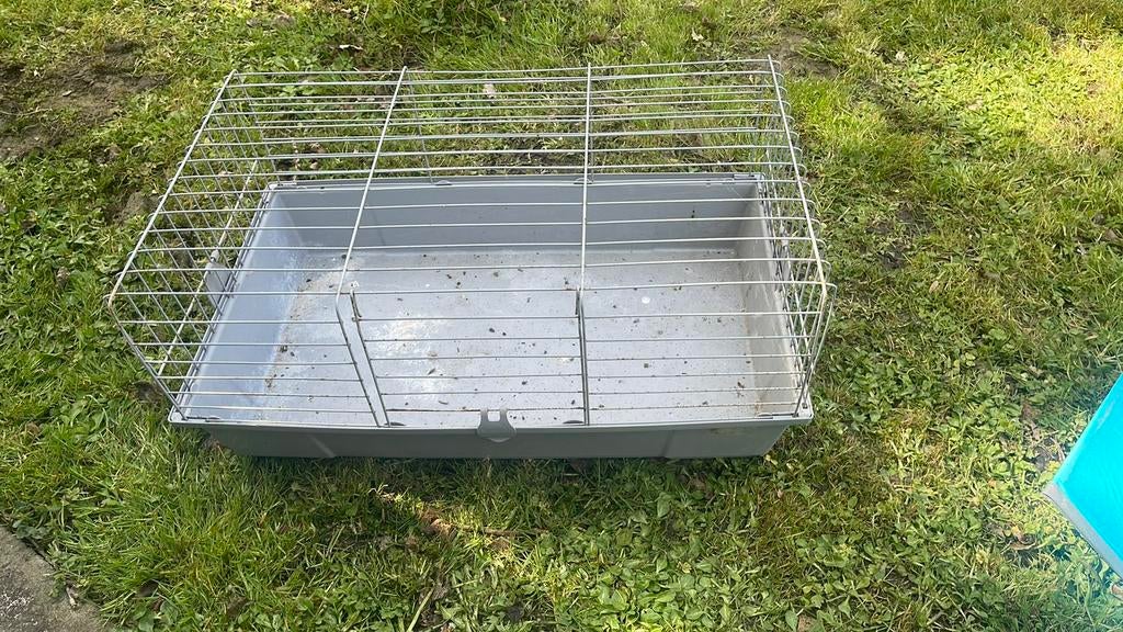 Kooi knaagdieren, Enlèvement, Utilisé, Cage