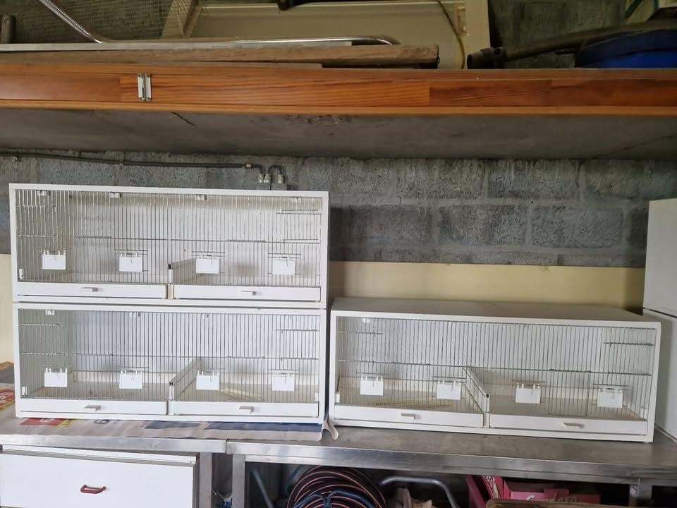 kweekkooi afm 105l x 40h x 30d 3 te koop prijs 70 per stuk, Enlèvement, Utilisé, Bois, Cage d'élevage
