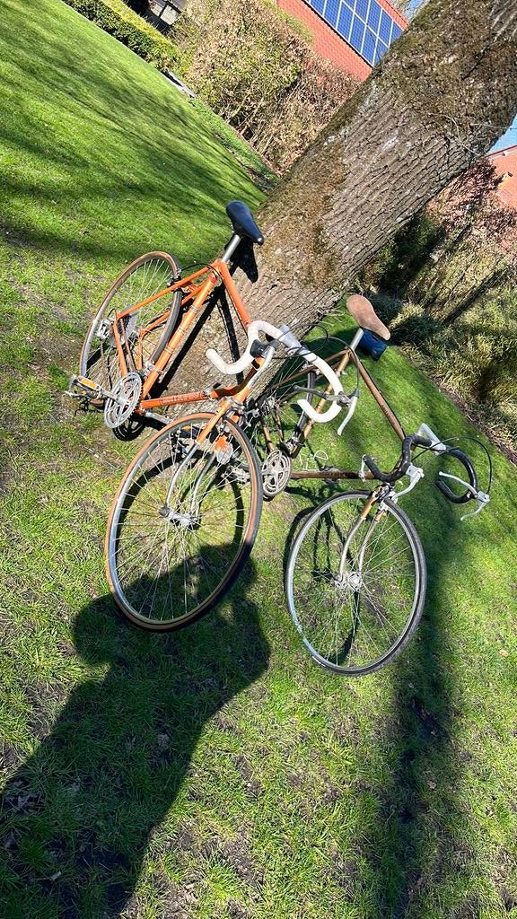 Retro koersfietsen maat 65, Ophalen