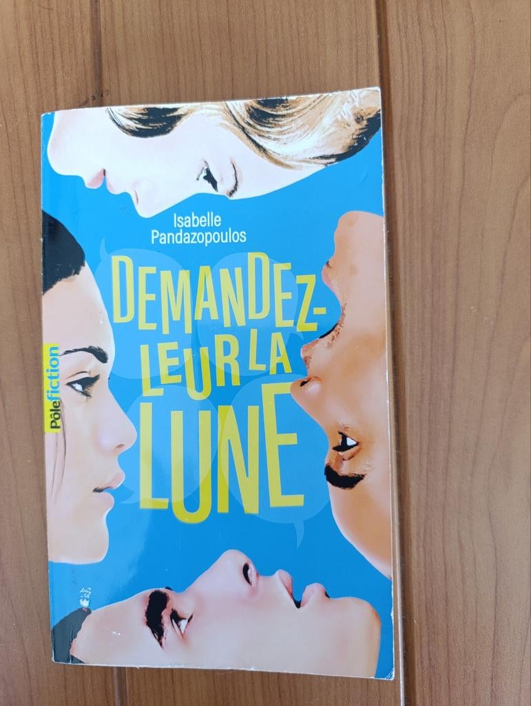 Livre "demandez leur la lune", Boeken, Chicklit, Ophalen of Verzenden