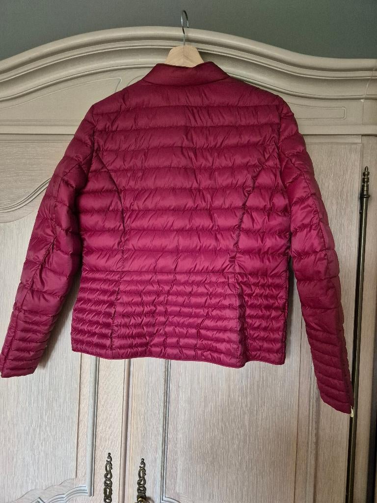 jas lente dames, Kleding | Dames, Zo goed als nieuw, Rood, Esprit, Ophalen