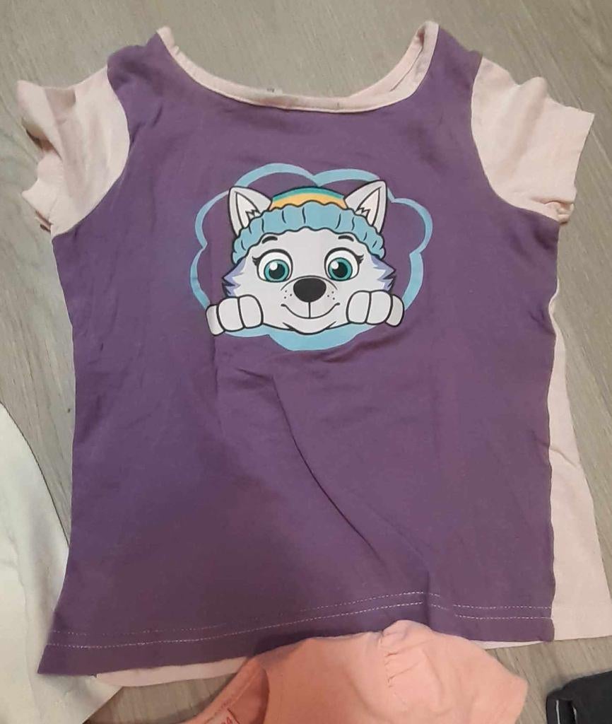shirt paw patrol maat 104, Kinderen en Baby's, Ophalen, Gebruikt, Meisje, Shirt of Longsleeve