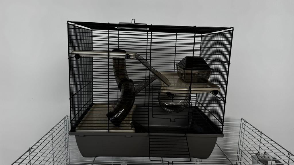 Rongeurs/cage/cage à hamsters, Enlèvement, Comme neuf, Niche, Hamster