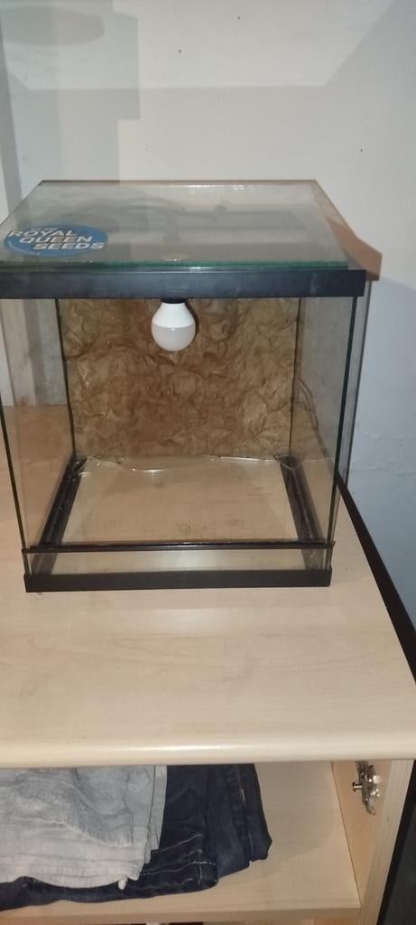 klein terrarium met verlichting, Ophalen, Verlichting