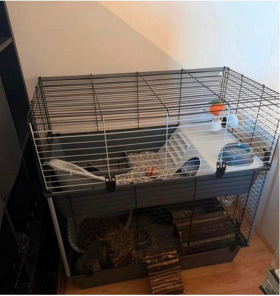 Cage pour rongeurs, Animaux & Accessoires, Enlèvement, Comme neuf, Cage, Lapin