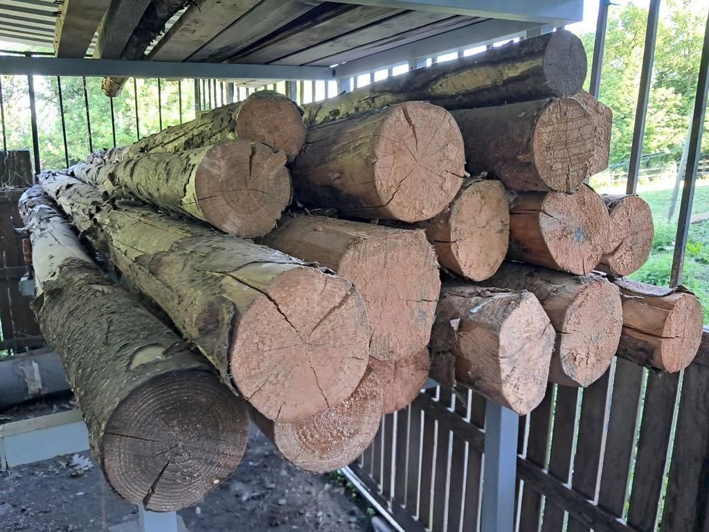 +_18 Rondins de 3métres et 1 de +de 5métres ranger au sec, Enlèvement