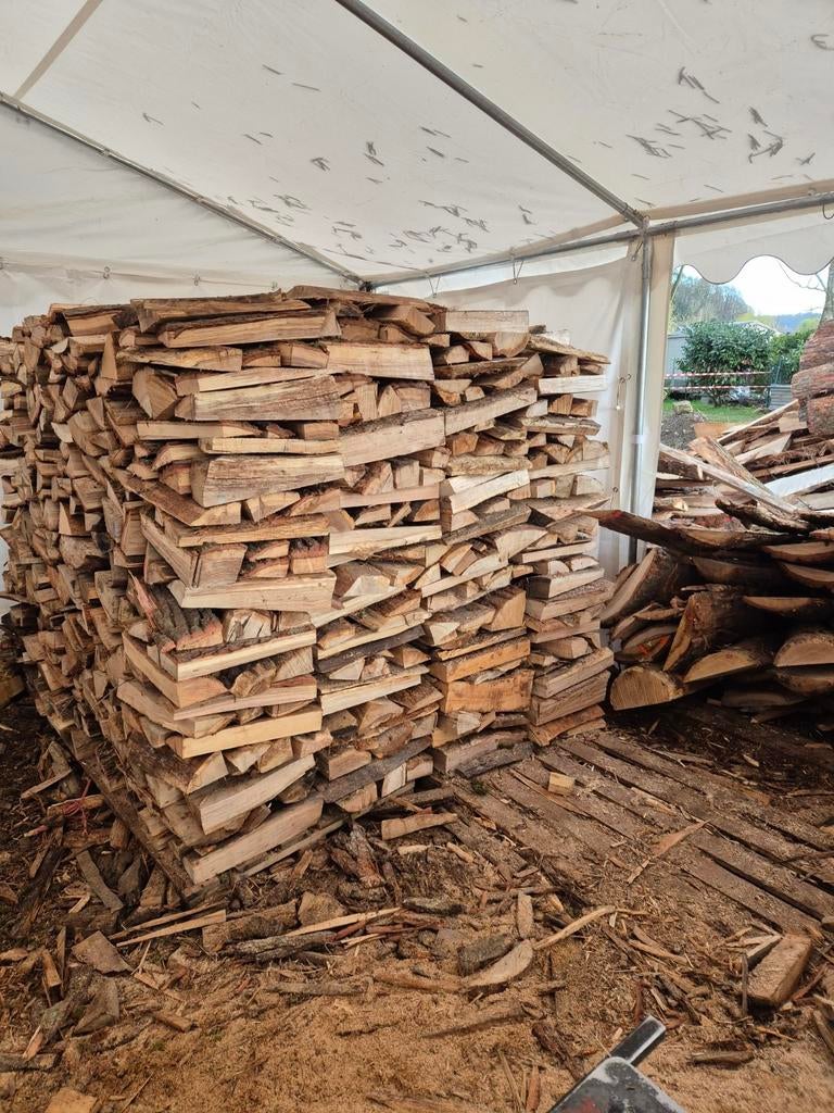 bois de chauffage sec, Enlèvement, Chêne