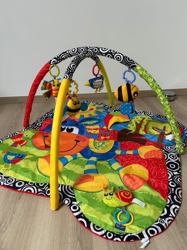 Activiteitenboog, Kinderen en Baby's, Ophalen, Gebruikt