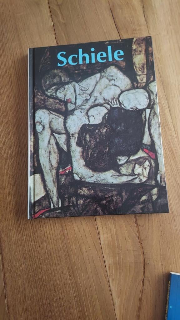 Schiele boek over kunst, Ophalen, Zo goed als nieuw