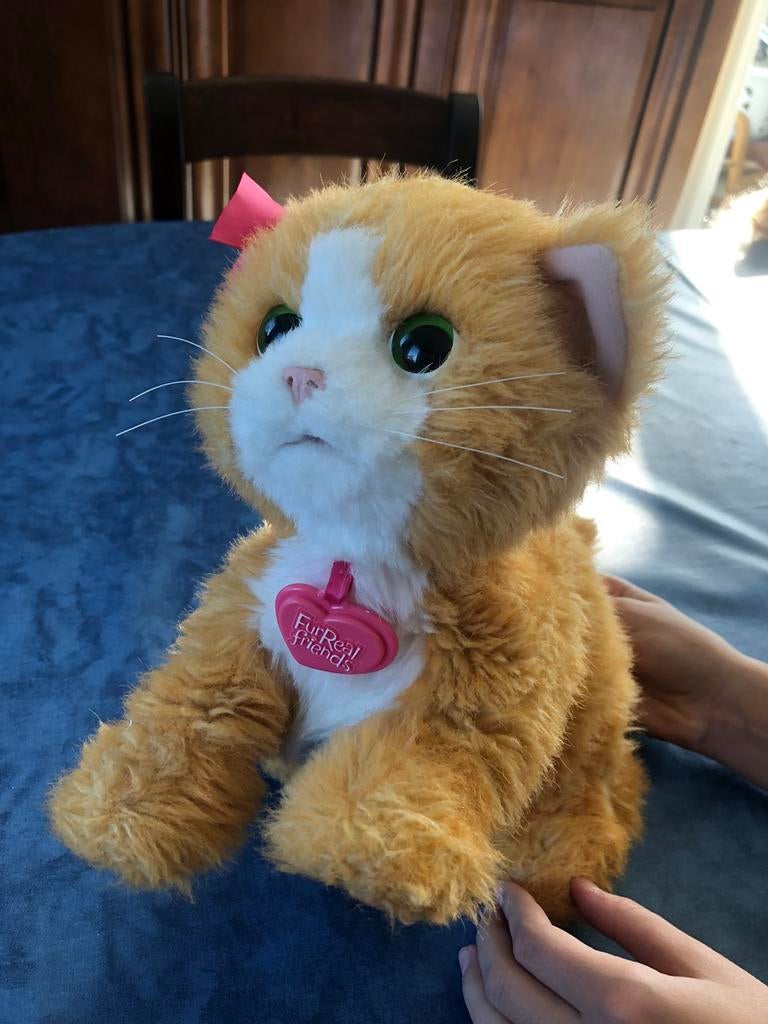 Chat Furreal friends automate, Utilisé