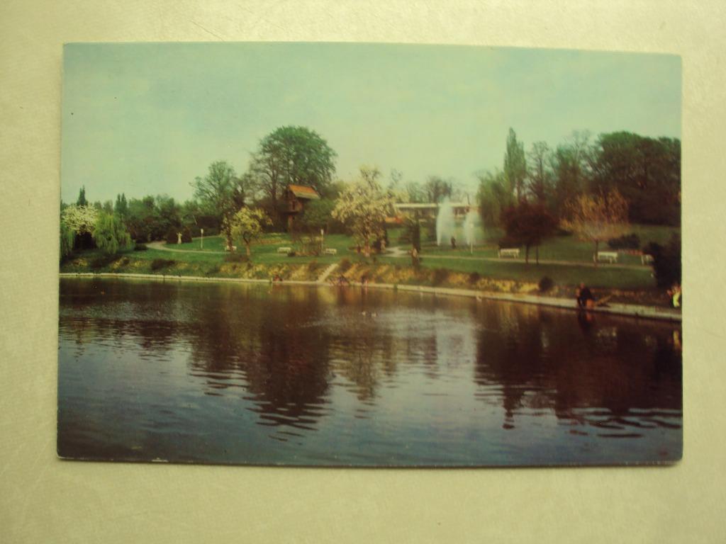 46996 - STAD GERAARDSBERGEN -ZICHT OP VISVIJVER EN VOLKSCAFE, Verzamelen, Postkaarten | België, Verzenden