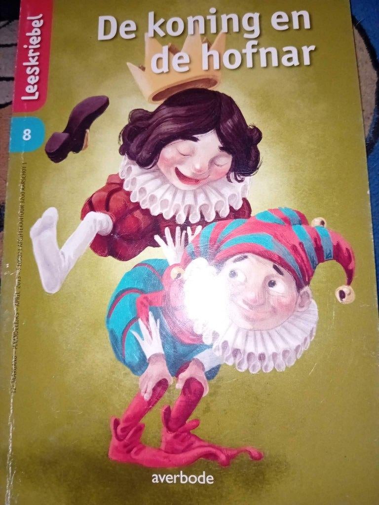 boek de koning en de hofnar, Ophalen of Verzenden, Zo goed als nieuw, Leeskriebels, Fictie algemeen