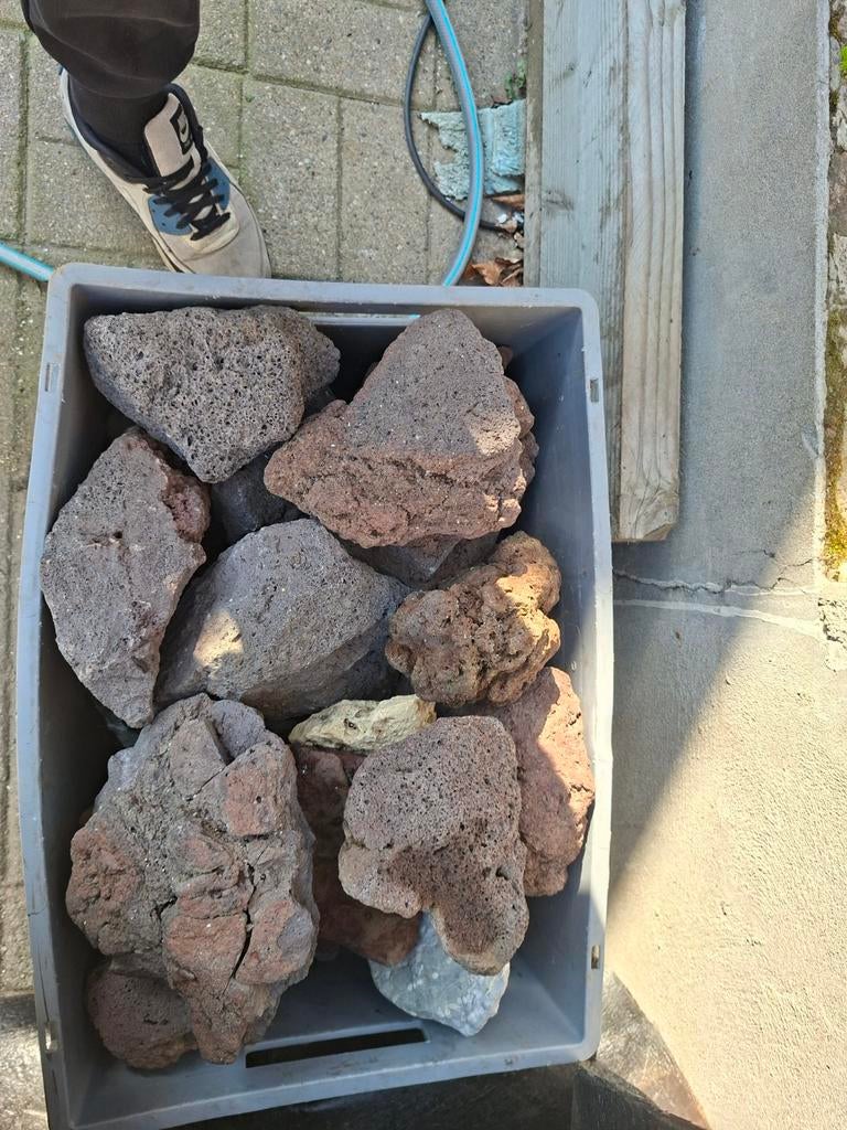 Grote bak vol lava rock, Animaux & Accessoires