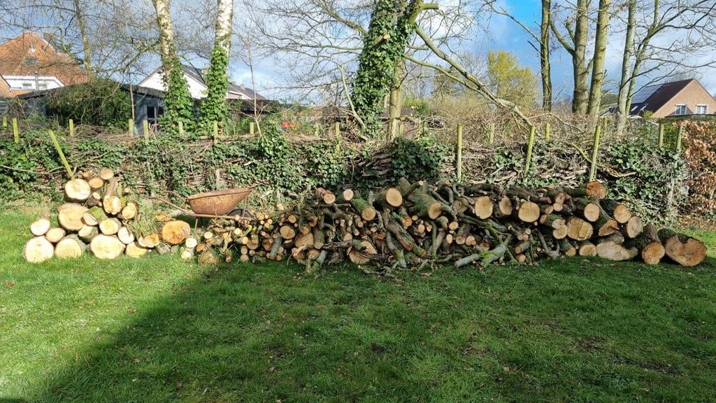 Eik en wilgenhout, Tuin en Terras, Brandhout, Ophalen