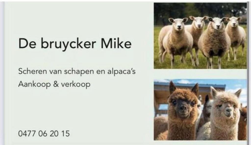 Schapen & alpaca scheerder, Dieren en Toebehoren