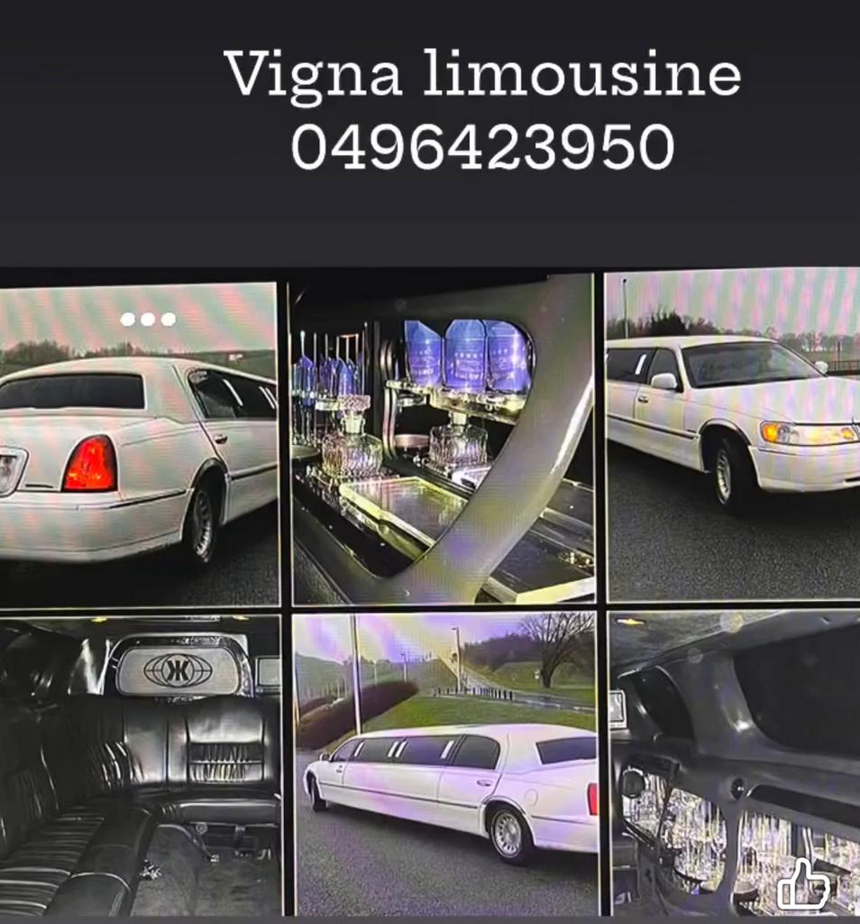 Vigna limousine 0496423950 a votre service depuis 1998, Enlèvement ou Envoi