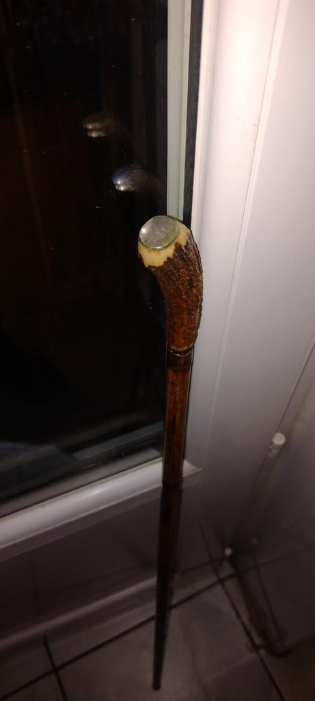 Canne  ++ de collection ( bois de cerf )