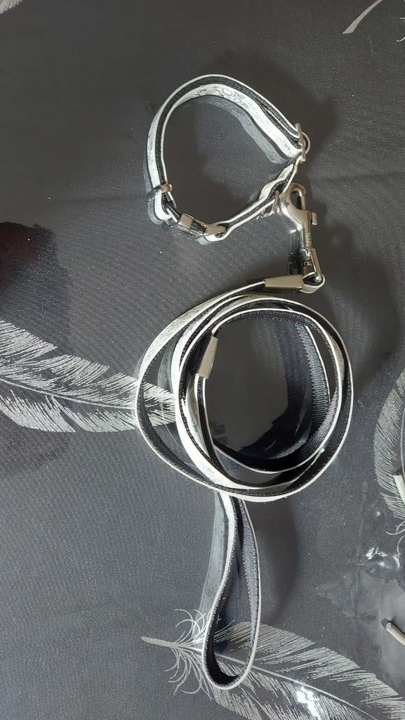 Ensemble chat ou petit chien, Ophalen of Verzenden, Zo goed als nieuw