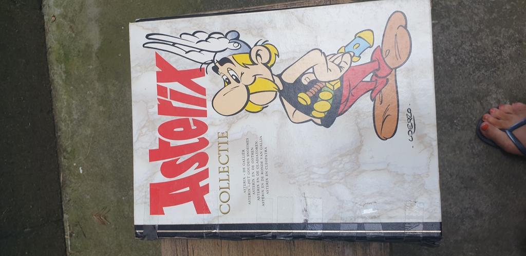 Asterix collectie, Boeken, Ophalen of Verzenden, Gelezen