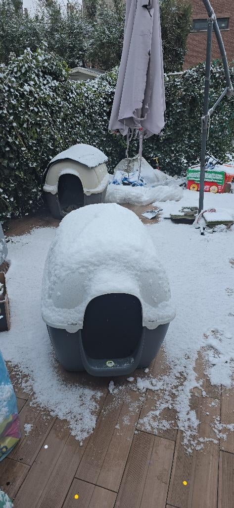 hondenhok xxl van thermoplastisch , winter, zomer,, Dieren en Toebehoren, Hondenhokken, Ophalen, 110 cm of meer, 65 tot 100 cm
