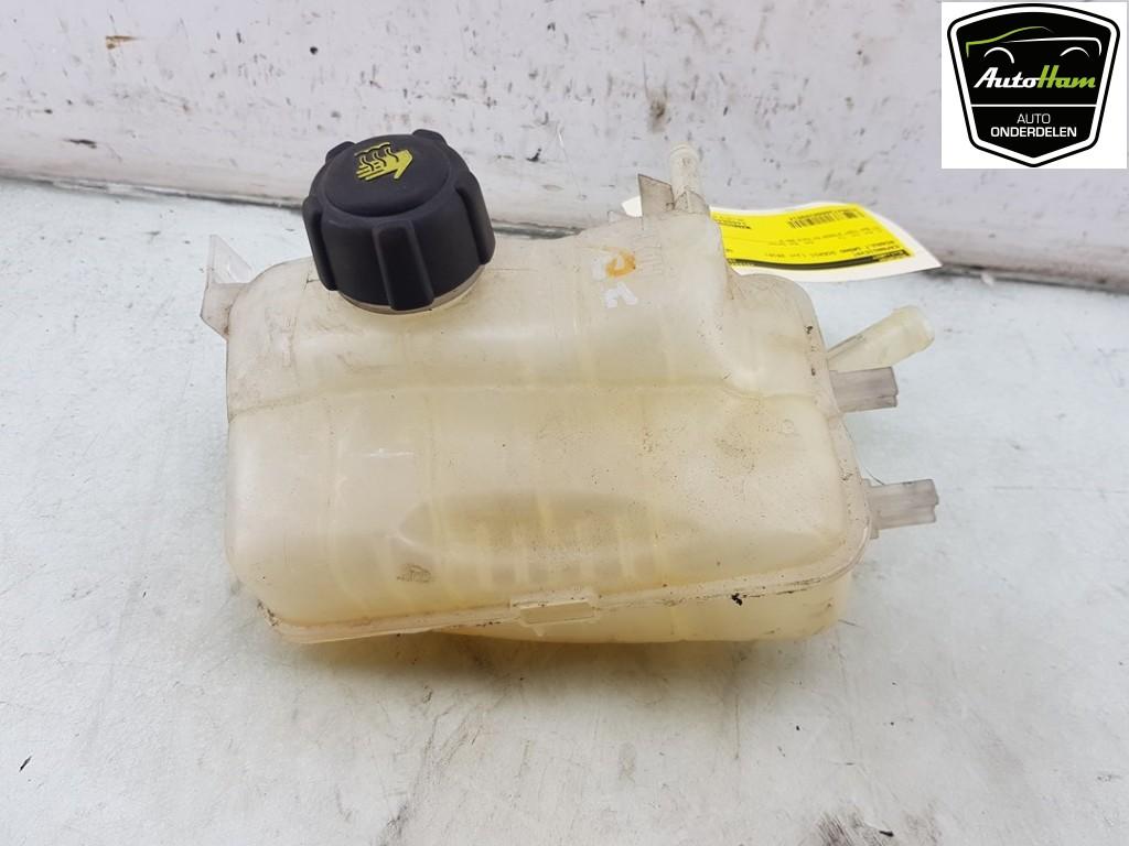 VASE D'EXPANSION Grand Scénic III (JZ) (|217100005R|), Utilisé, Renault