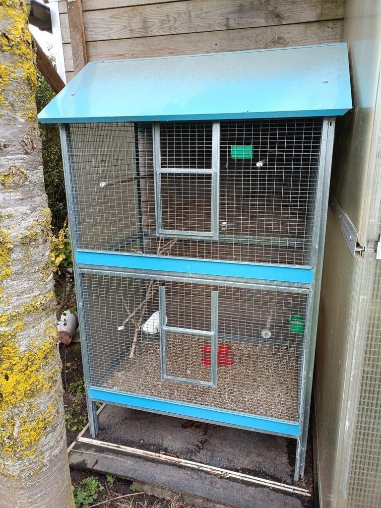 Voliere, Enlèvement