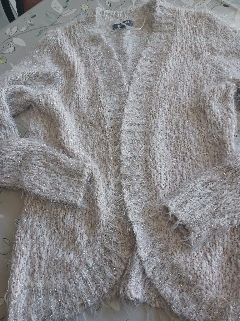 Zacht oudroze/ecru  vestje  40 Bel&Bo, Kleding | Dames, Truien en Vesten, Maat 38/40 (M), Verzenden, Beige, Bel & Bo