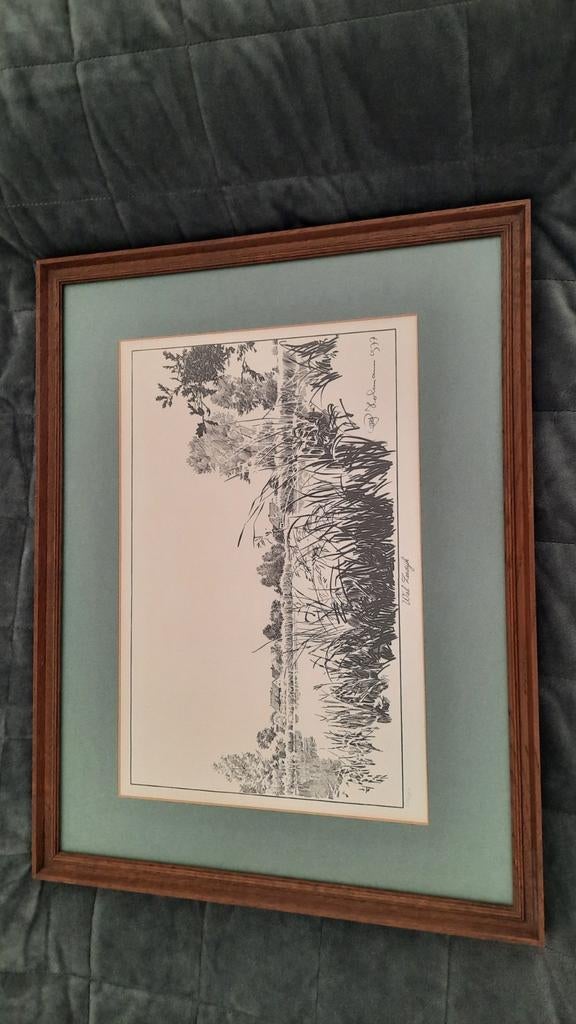 Reproductie 247/350. Wiel zeedijk, Ophalen