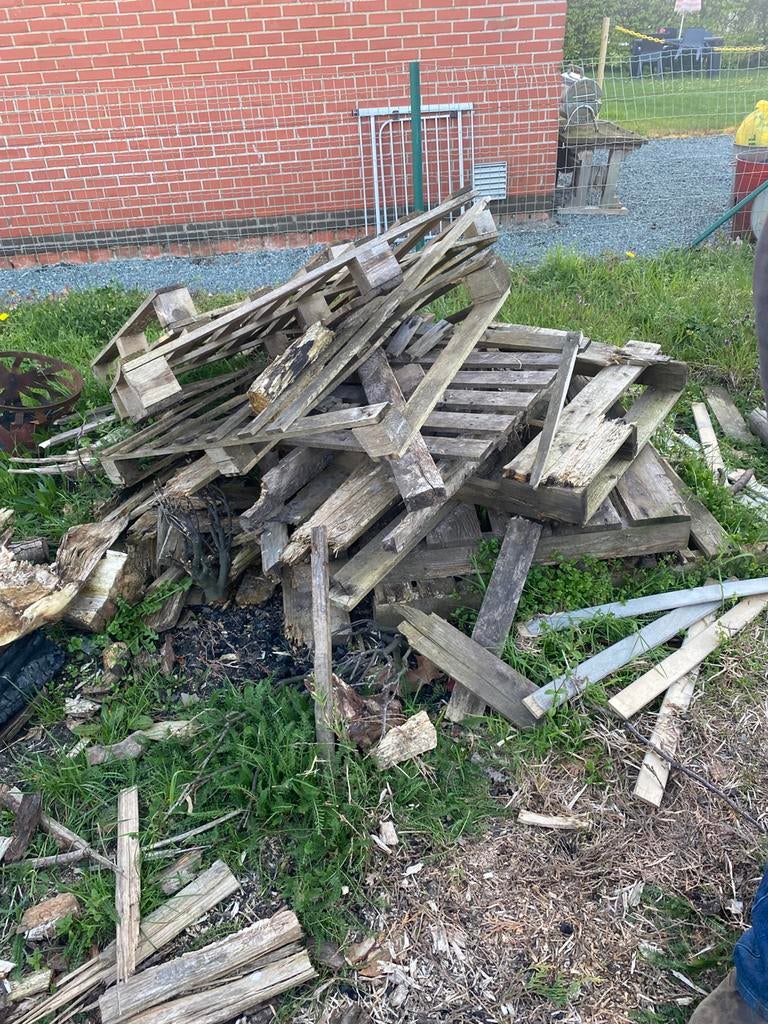 Gratis brandhout, Tuin en Terras, Planten | Bomen, Ophalen