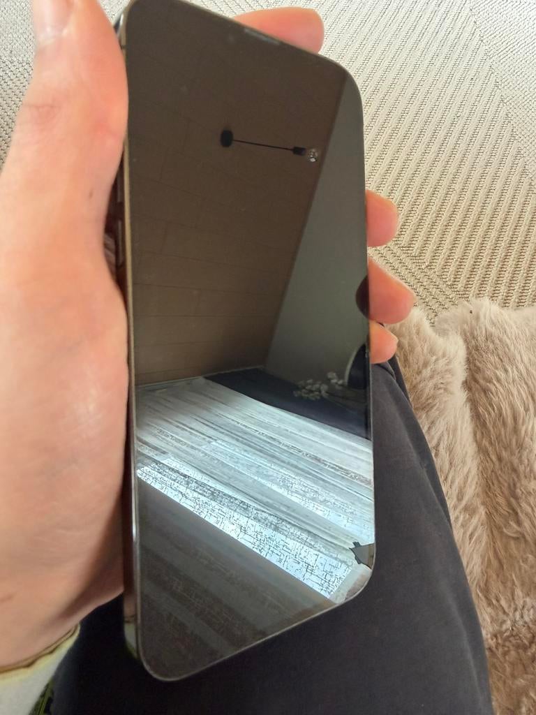 13 pro max 1 TB, Telecommunicatie, Mobiele telefoons | Hoesjes en Screenprotectors | Apple iPhone, Ophalen, Grijs, Apple, IPhone 13 Pro Max